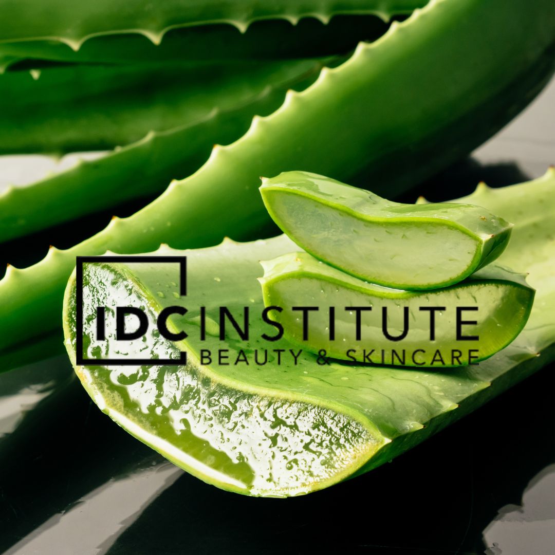 IDC INSTITUTE - Linea Aloe Vera