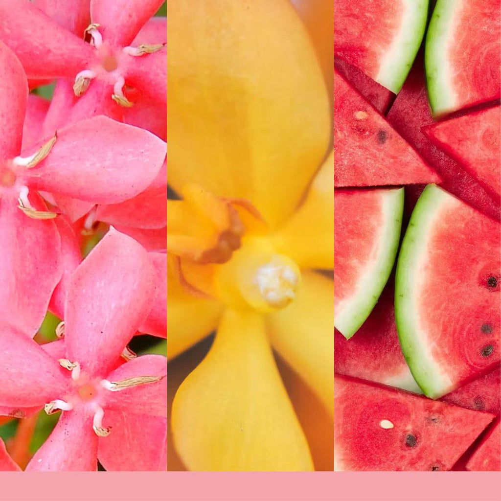 YANKEE CANDLE | Collezione Signature - PINK SANDS