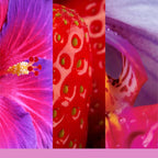 YANKEE CANDLE | Collezione Signature - WILD ORCHID