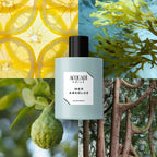 ACQUA DI PRIVÉ | MER ABSOLUE (Megamare Orto Parisi) – Eau de Parfum 100ml