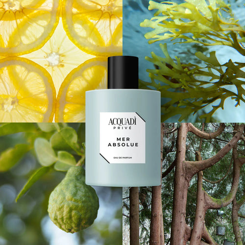 ACQUA DI PRIVÉ | MER ABSOLUE (Megamare Orto Parisi) – Eau de Parfum 100ml
