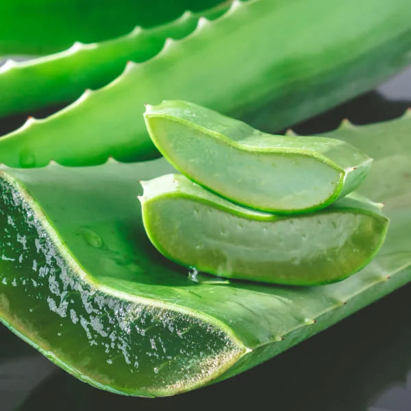 IDC - ALOE VERA - Balsamo labbra idratante rigenerante