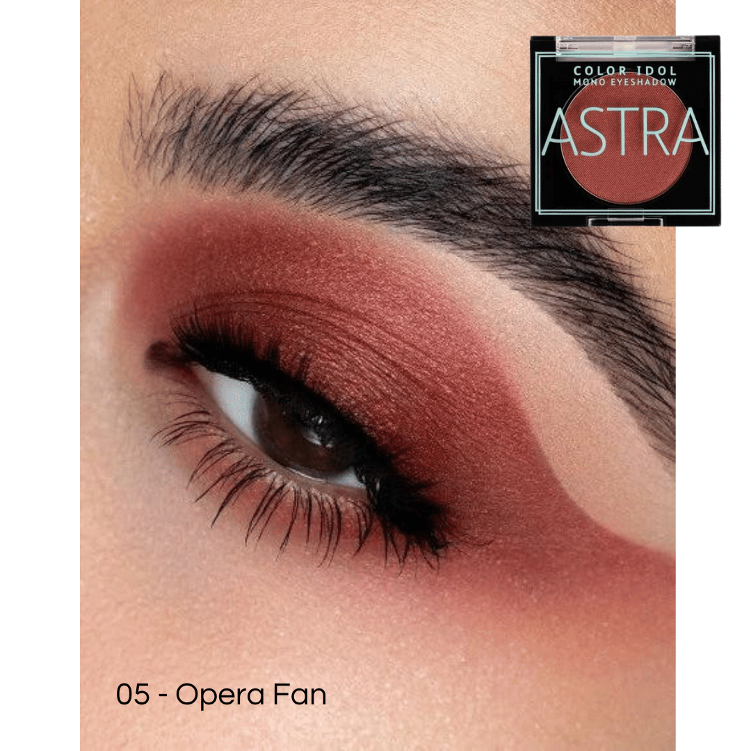 COLOR IDOL MONO EYESHADOW - Ombretto singolo